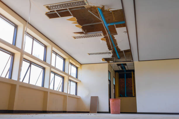 Best Water damage cleanup near me  in Palmyra, MO