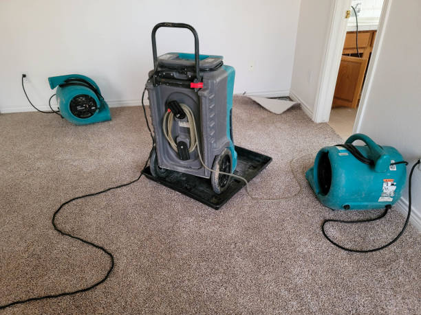 Best Flooded house restoration  in Palmyra, MO