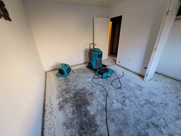 Best Residential water damage restoration  in Palmyra, MO