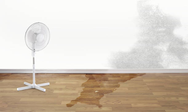  Palmyra, MO Water damage restoration Pros