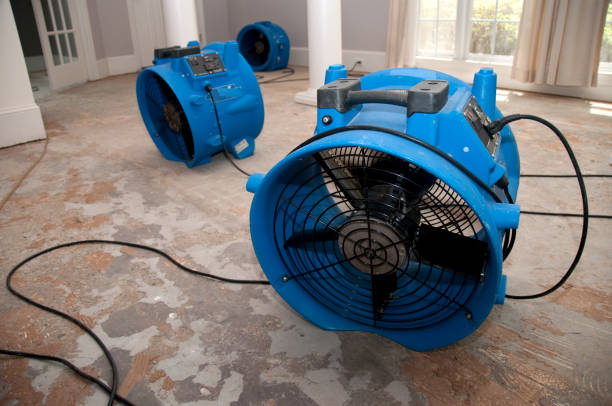Best Professional water damage repair  in Palmyra, MO