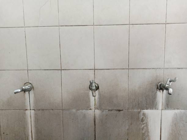 Best Fire Damage Restoration  in Palmyra, MO