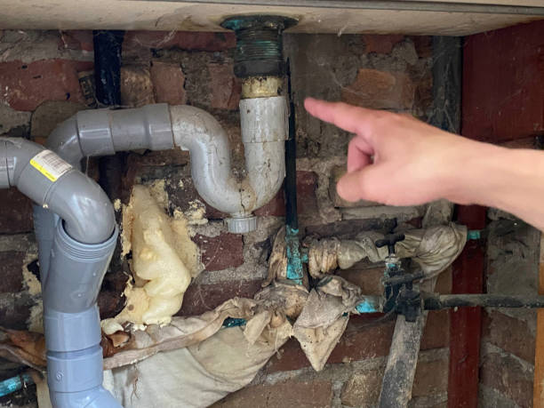 Best Local water damage restoration  in Palmyra, MO