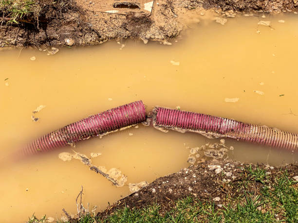 Best Water damage restoration near me  in Palmyra, MO