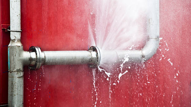 Best Water damage contractors near me  in Palmyra, MO
